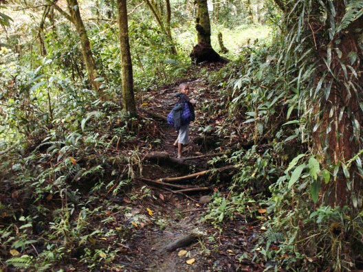 Typical trail going to Bainu village